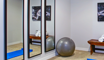 Custom framed mirror panels with black frames