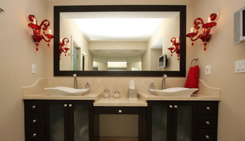 Large bathroom mirrors with black frames