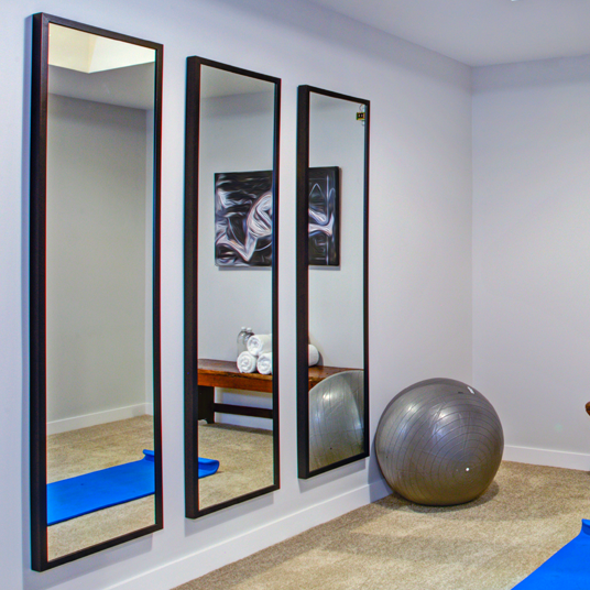 Custom framed mirror panels with black frames