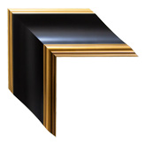 Black Gold Framed Mirrors